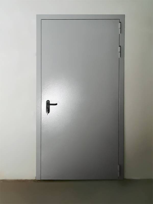 Глухая одностворчатая дверь (г. Фрязино)